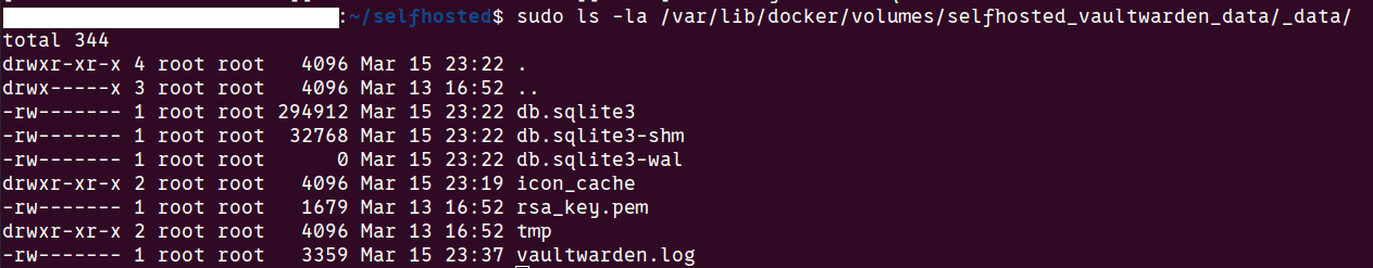 Vaultwarden Data Files Secured